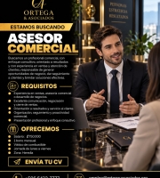 Asesor Comercial